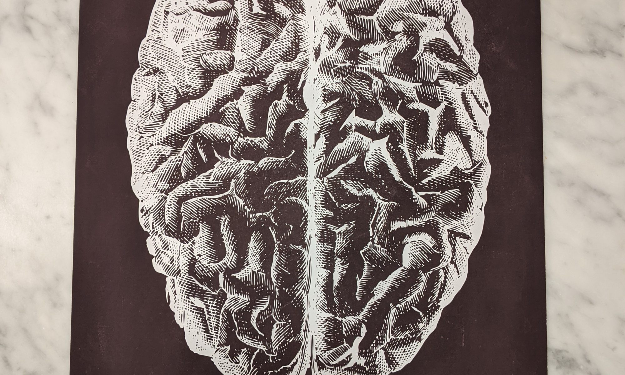 poster hersenen
