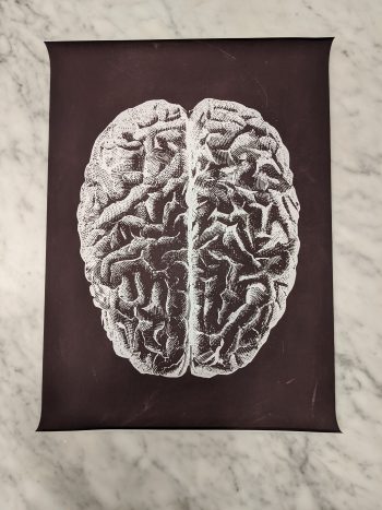 poster hersenen