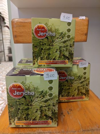 Roos van Jericho