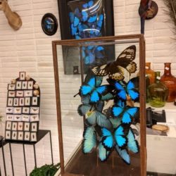 moderne stolp blauwe vlinders