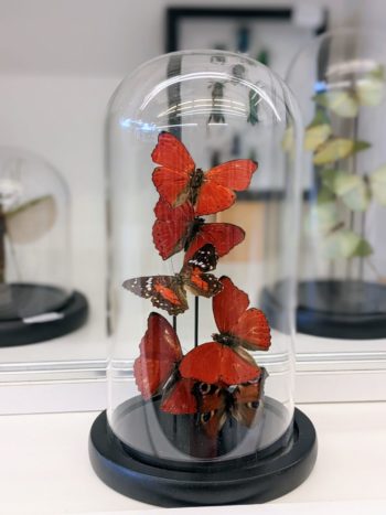 stolp met rode vlinders