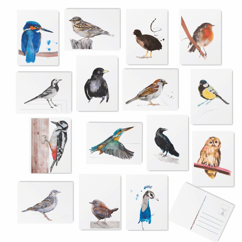 postkaarten vogels