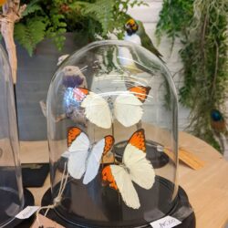stolp met drie vlinders