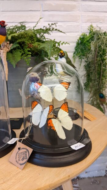 stolp met drie vlinders