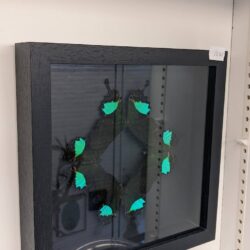 kader vlinders zwart en groen
