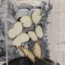 stolp met witte vlinders