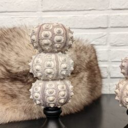 zeeëgel op staander 3