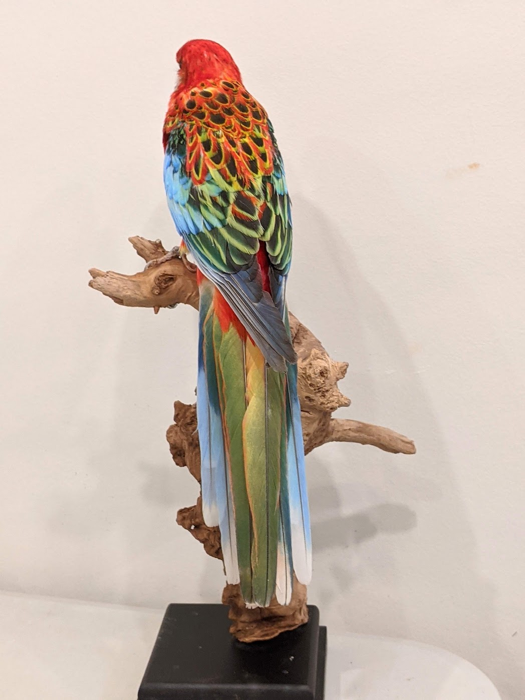 tweedaagse workshop Rosella, zat 13/06/26 - zond 14/06/26 - Afbeelding 3