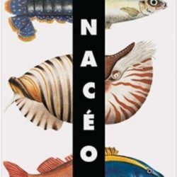 Pop-upboek zeedieren