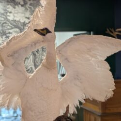 Witte zwaan