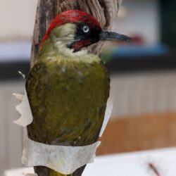 1 op 1 workshop, 1 dag (reservatie)